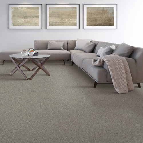 Living room with comfy carpet - Stonington Manor II - Overcast